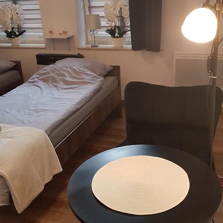 Komfortowy Apartament W Centrum Nowego Sacza Nowy Sacz Ngoại thất bức ảnh