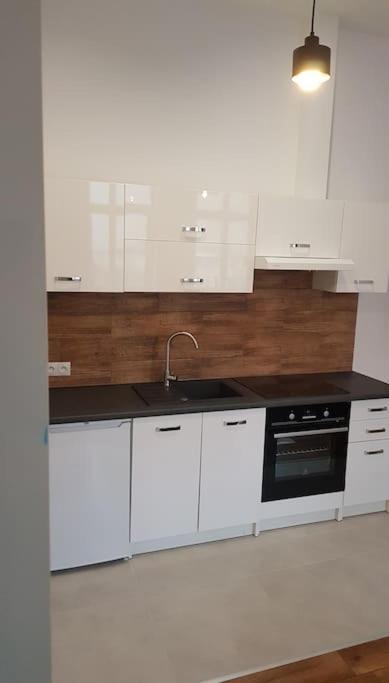 Komfortowy Apartament W Centrum Nowego Sacza Nowy Sacz Ngoại thất bức ảnh